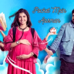 Pocket Mein Aasman