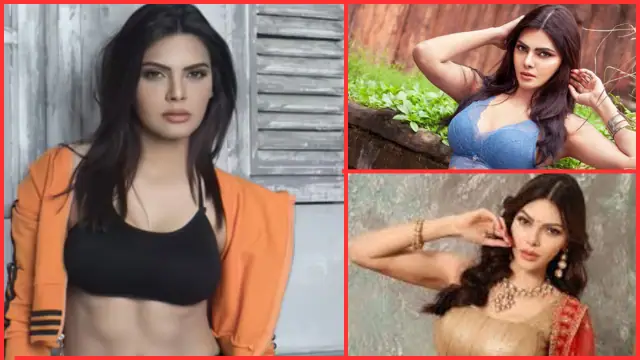 Who is Sherlyn Chopra's husband? 2 Sherlyn Chopra