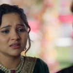 Vasudha Upcoming Written Update 11th November 2025